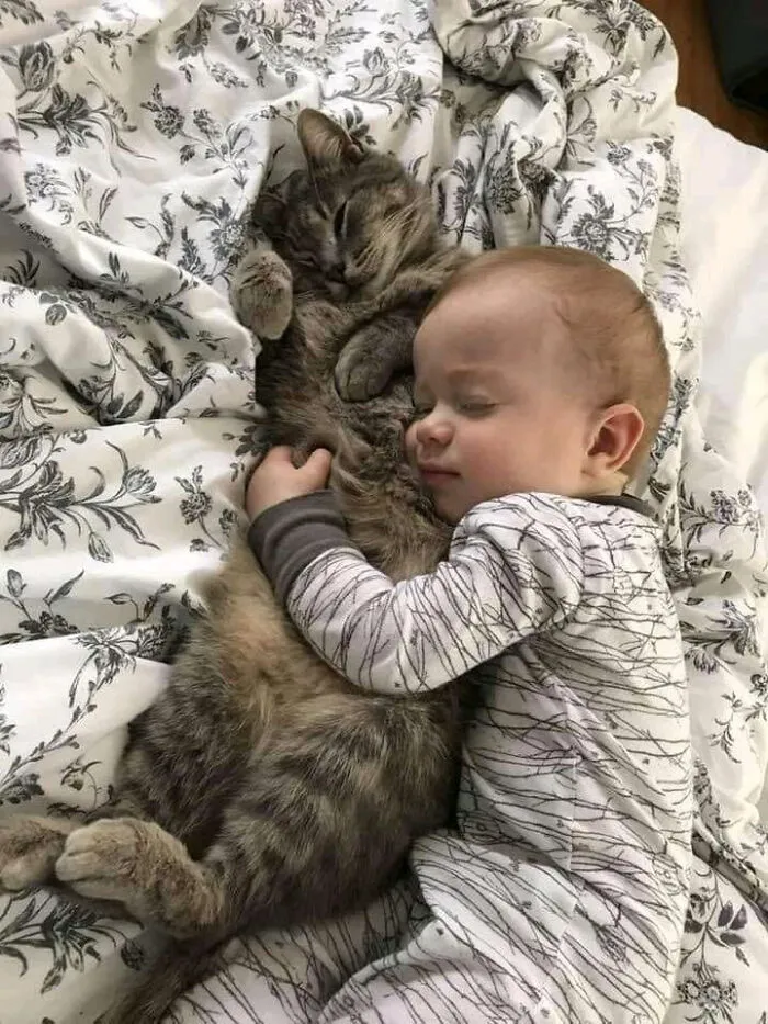 Nothing Like The Soothing Feel Of A Wonderful Furry Baby