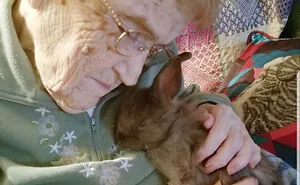 50 Uplifting Photos That Prove We Don't Deserve Animals (New Pics)