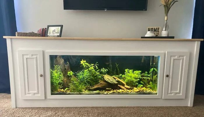 Aquarium idea with a lush planted tank in a white cabinet stand, enhancing home decor.