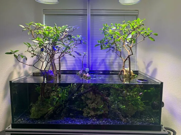 Stunning aquarium featuring lush greenery and artistic tree-like structures under soft lighting.