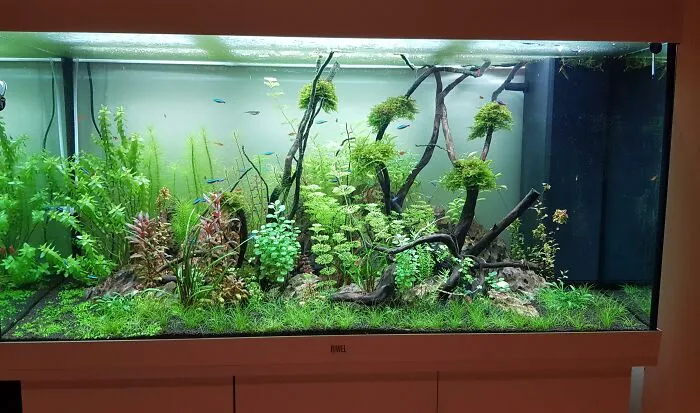 I'm 16 - A Summer Of Working In McDonalds Went Into This