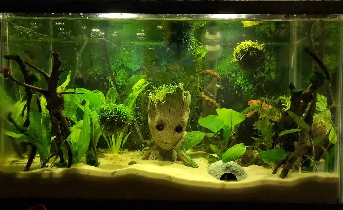 What Do You Guys Think?