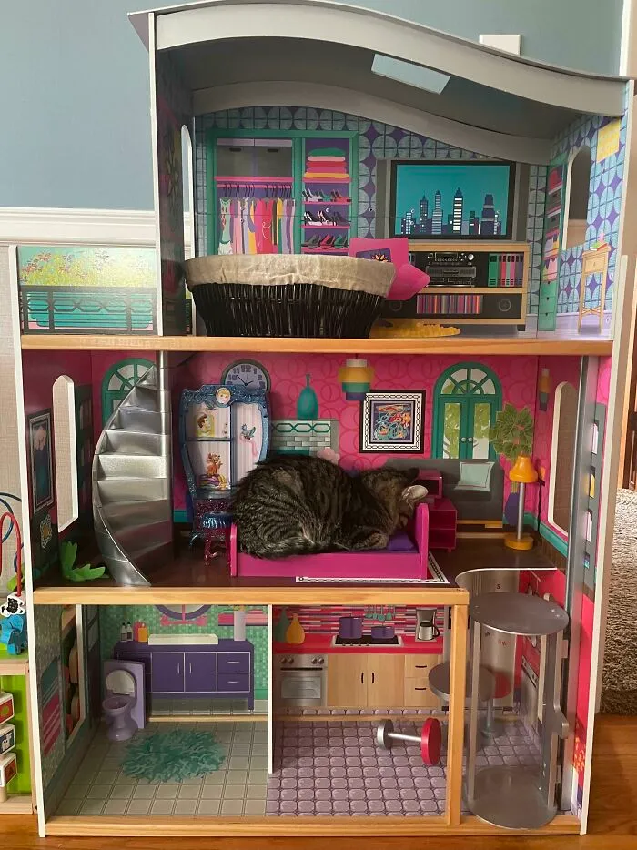Me dijeron que publicara esto aquí. Taco en cuclillas en la cama de Barbie