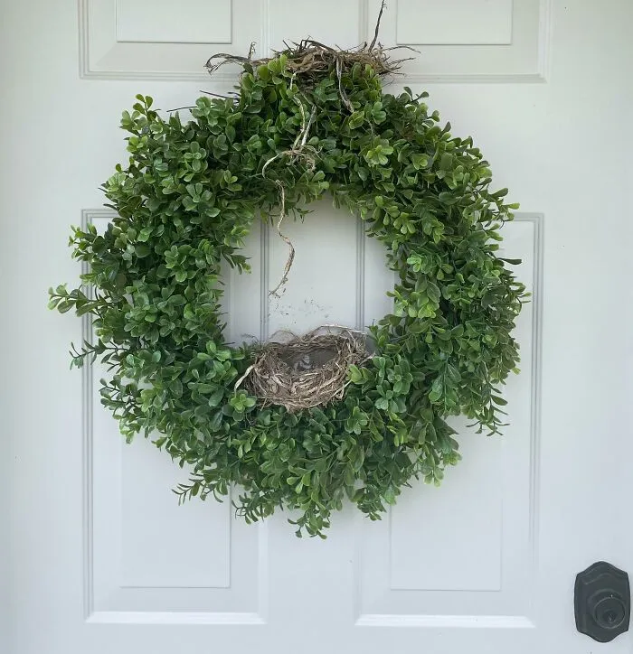 My Wife Hung A Wreath On Our Front Door. In The First Week A Bird Built A Nest Inside The Wreath. Week Two, A Bird Built A Nest On Top Of The Wreath