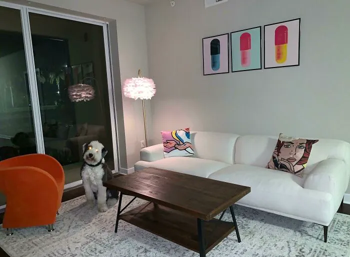 Dog next to a white couch 