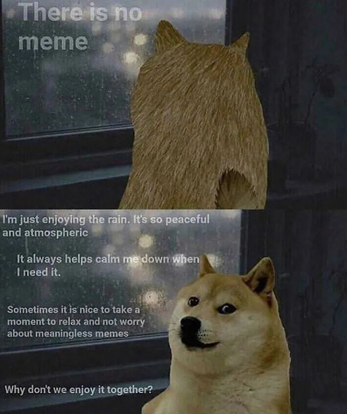 I Expected A Doomer Doge And Was Pleasantly Surprised