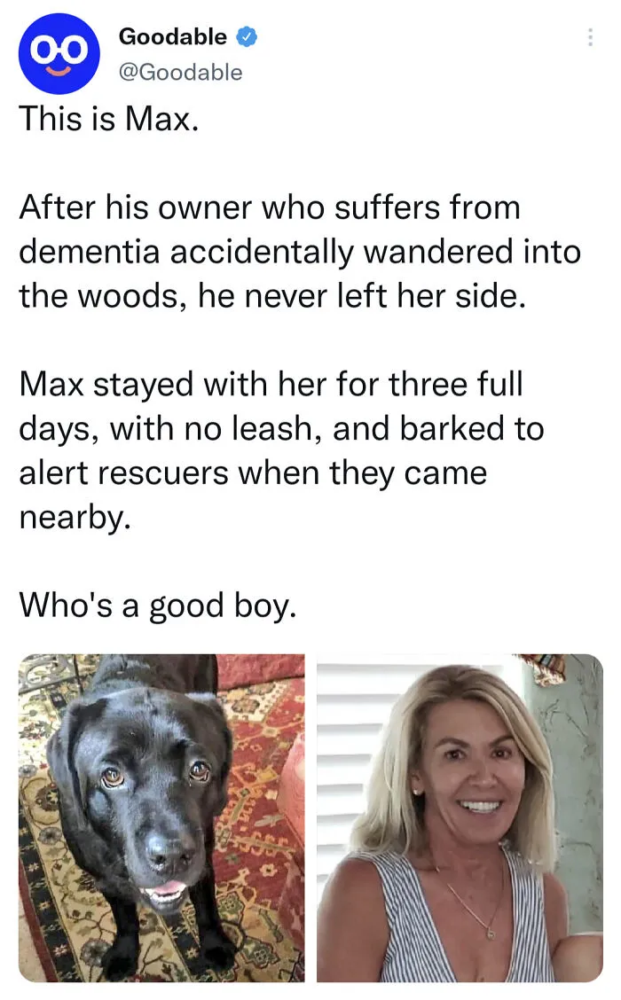 Meet Max - The Goodest Of Good Boys