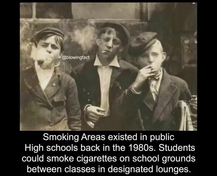 This Instagram Account Shares Fascinating Fun Facts You Probably Didn’t Learn In School, Here Are 50 Of Their Best Posts