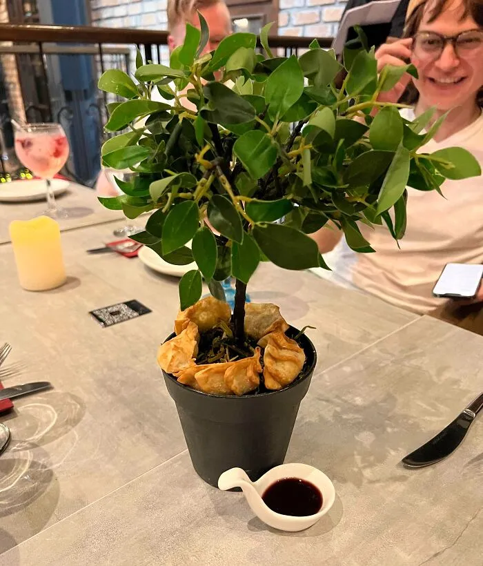 Ten unas gyoza con esta planta en su maceta