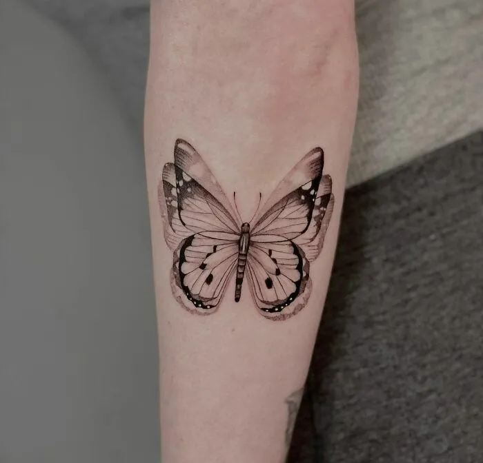 Butterflies Lift Our Spirits With Their Loveliness And Lyrical Flight
