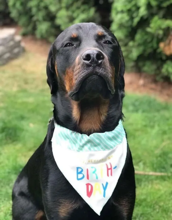 Calvin’s 1st Bday. He Seems So Skeptical