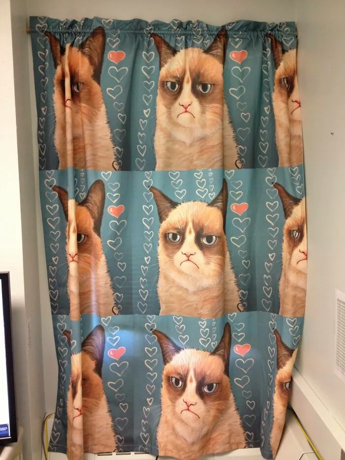 Me quejé de la ventana de mi nueva oficina y mi compañera me hizo esto