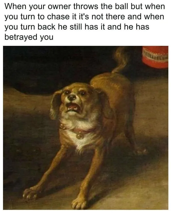 Tennis Balls And The Doggo