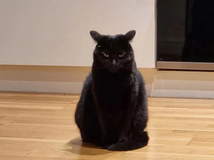Spooky Boy