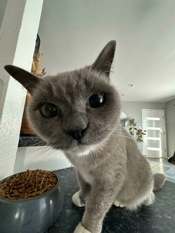 Was Told This Little Lady Was Unfriendly To Visitors… Apparently I Am The Chosen One!