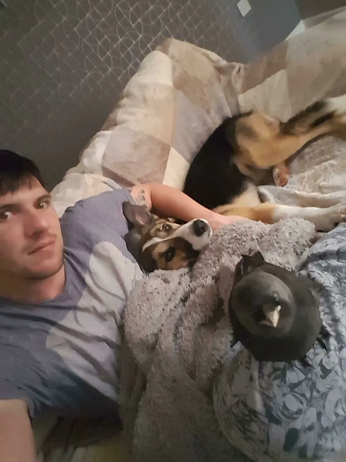 I Rescued This Crow And Now He Won't Leave And Has Become Part Of The Family