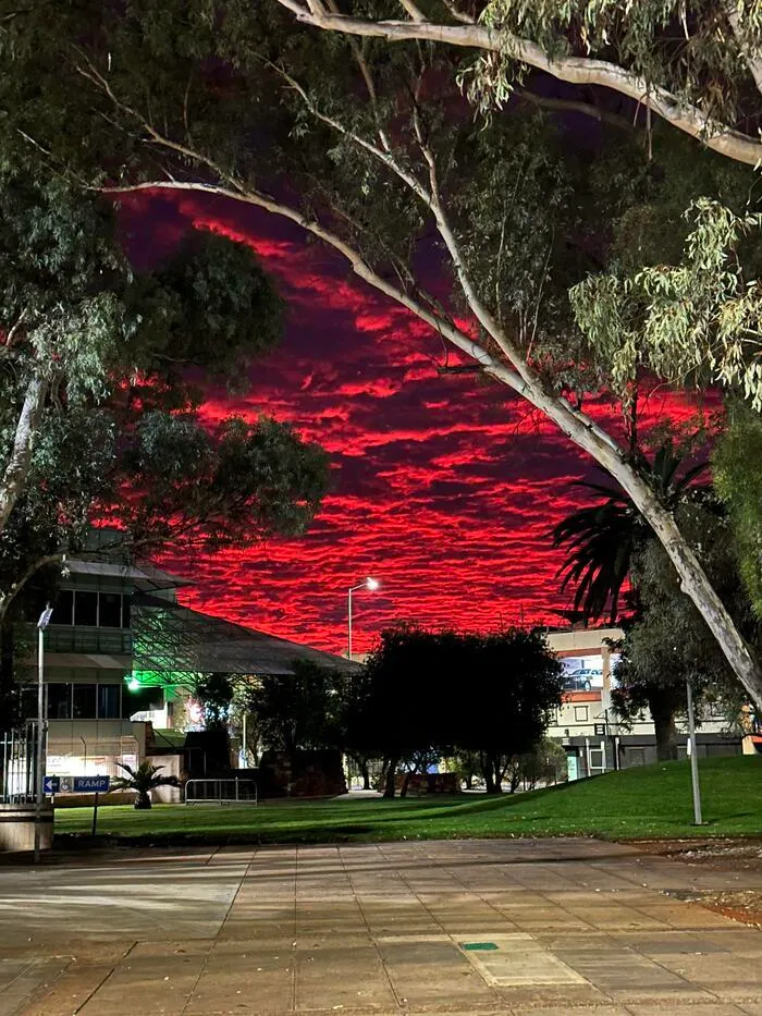 Bloody Australian Dawn
