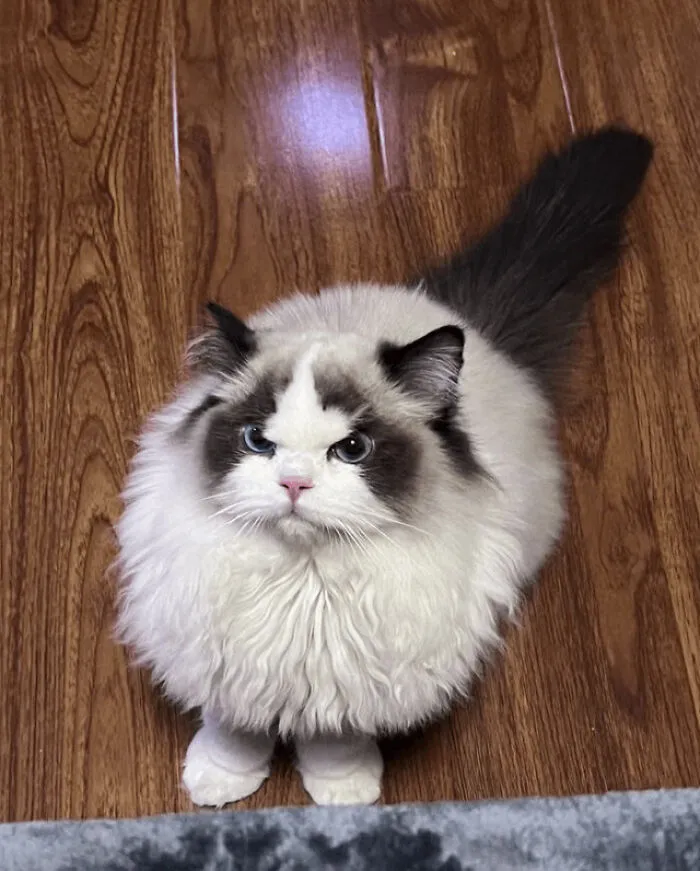 Bring Me Stuff, Now
