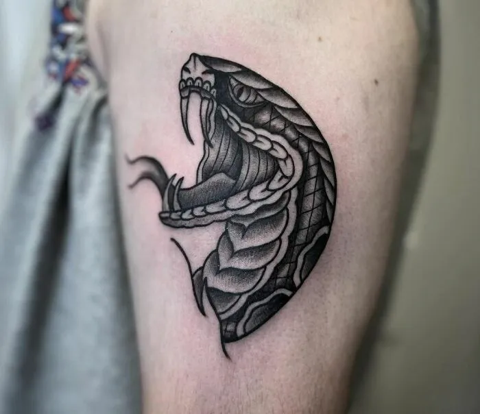 American traditional tattoo of a detailed snake design on an arm.