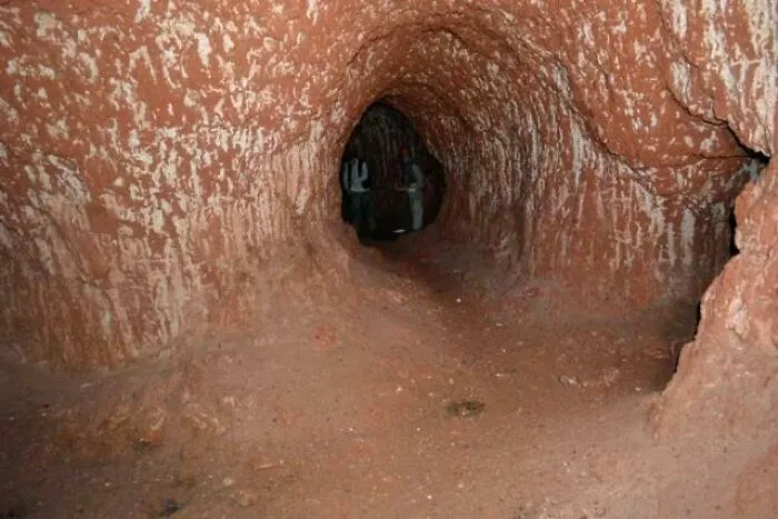 Túnel de perezoso elefante. Estos túneles fueron excavados por un perezoso gigante terrestre que vivió hace 10.000 años en Brasil