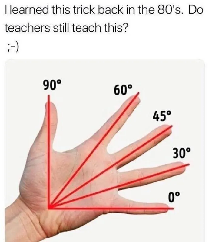 Do They Use It Still?