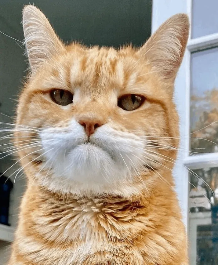 I Am Angry