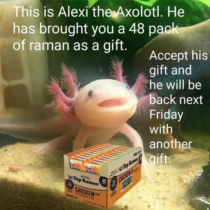 Special Delivery!