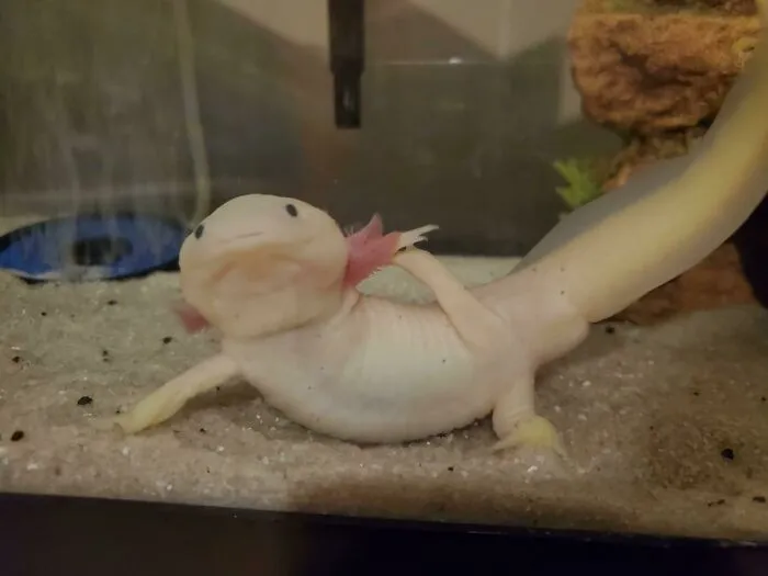 Paint Me Like One Of Your French Girls