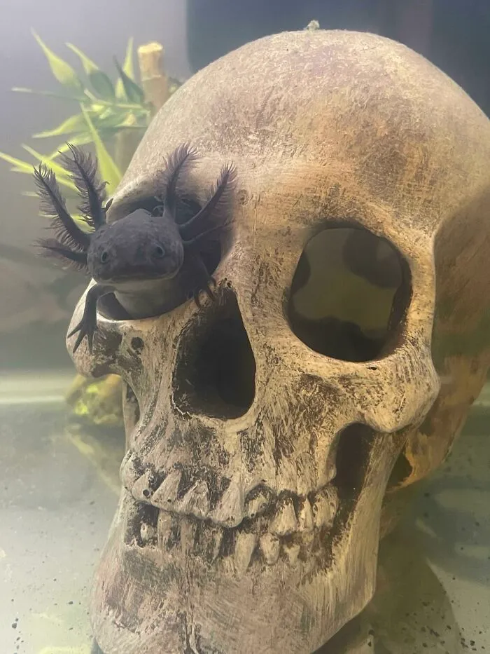 Just Had To Share, Look How Cute He Is