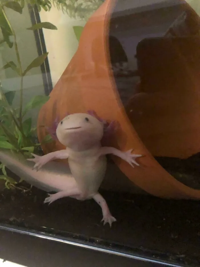 Don’t You Dare Touch My Flowerpot It’s Mine And Mine Only