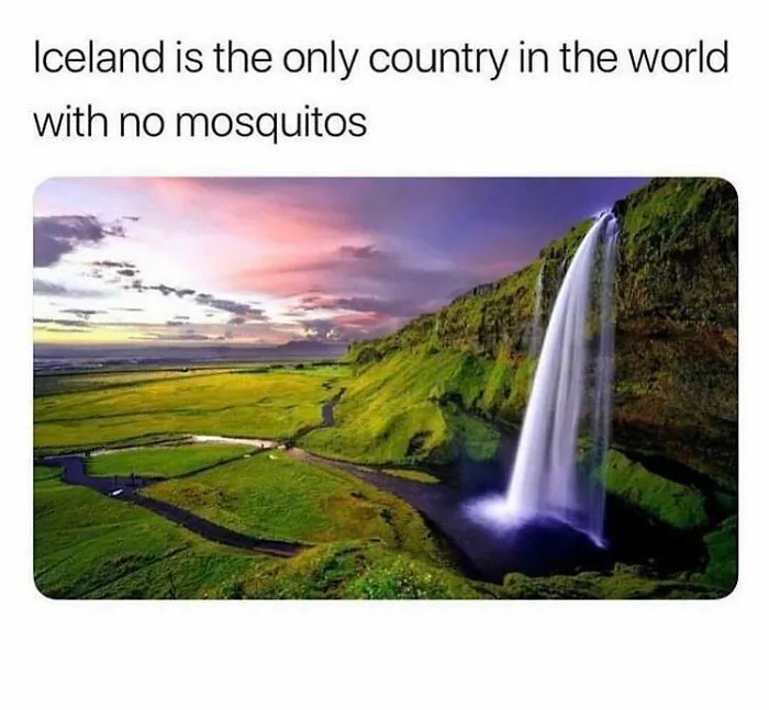 Fact: