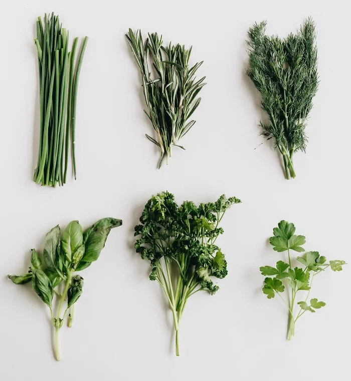Herb Strewer