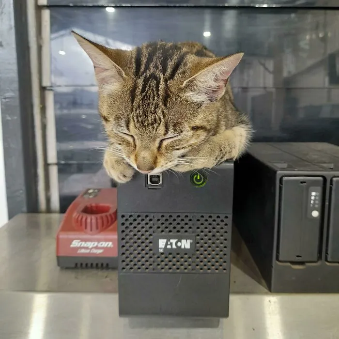 Tool Box Battery Backup Is Warm And Comfy