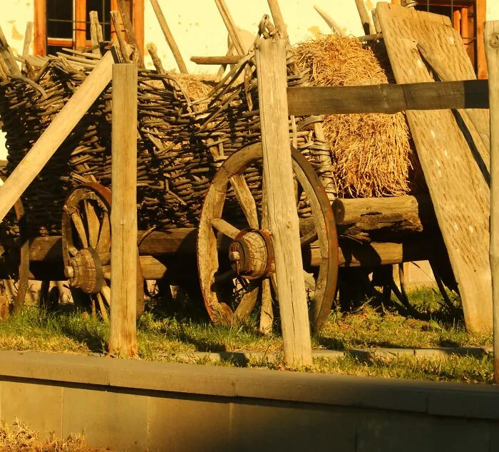 Wooden Carriage Standing Outside 