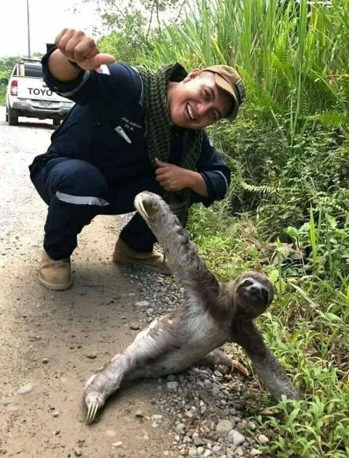 Espero que esta foto les alegre el día 