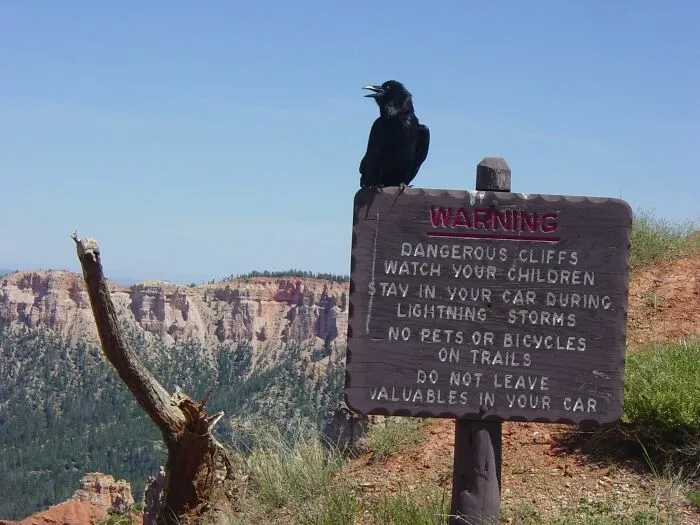 Crow standing on warning sign