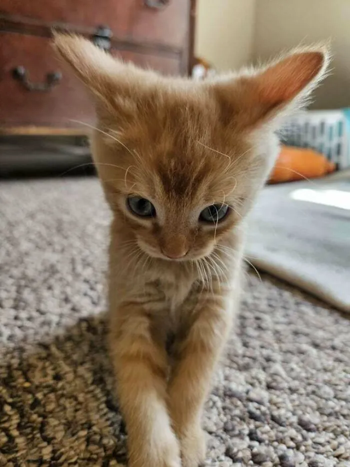 Ready For The Tiniest Take Off Ever