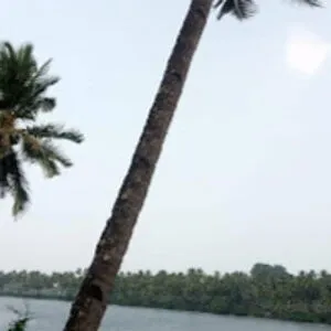 Lakhesar