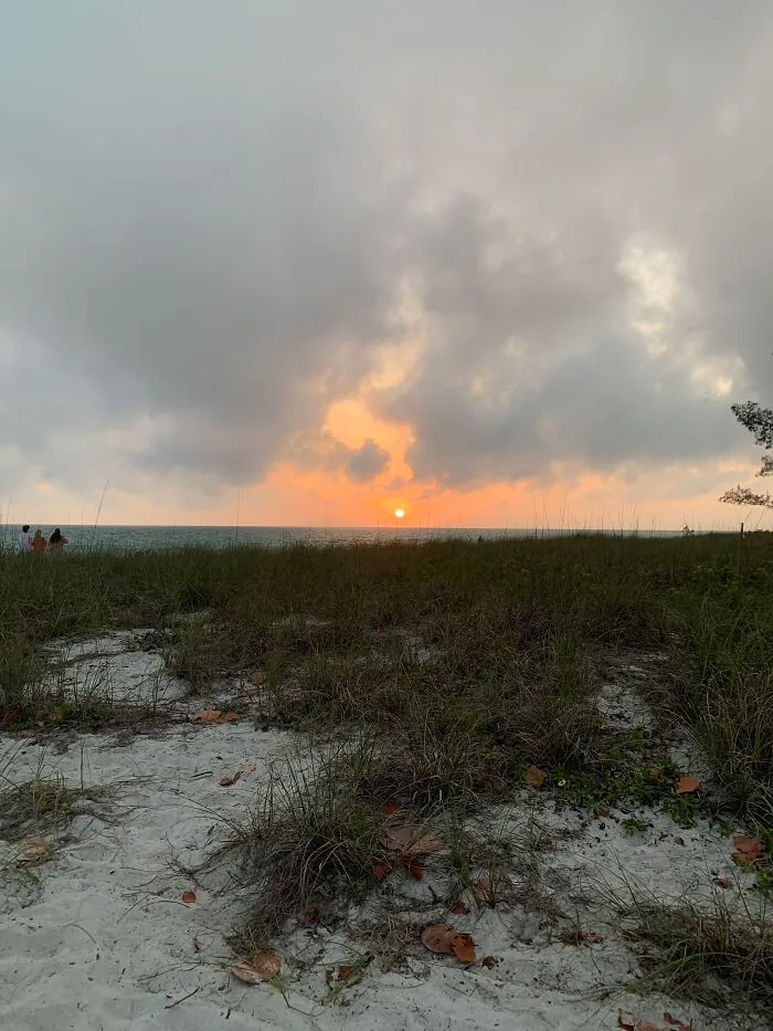 Long Boat Key Fl