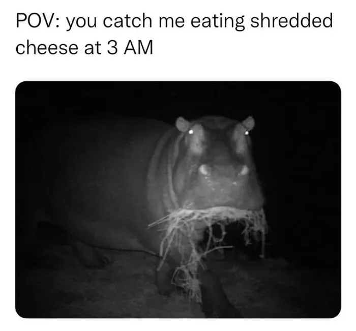50 Funny Instagram Memes That Might Make You Chuckle