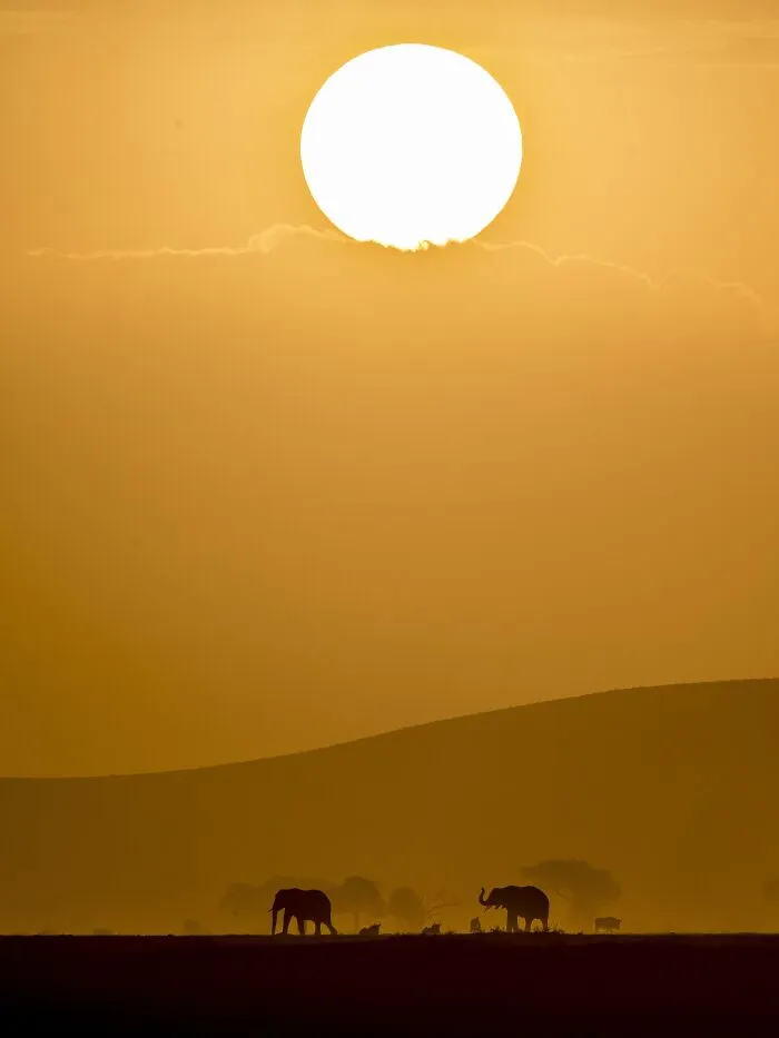 Golden Sunset - Lakshitha Karunarathna