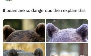 If The World Feels Like A Terrible Place, These 50 Wholesome Pics And Memes Might Cheer You Up