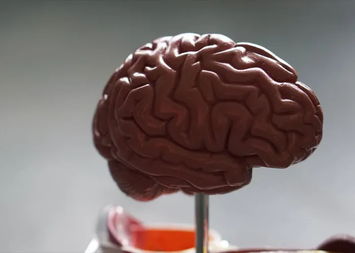 35 Annoying Myths And Conspiracies That People Really Need To Stop Believing