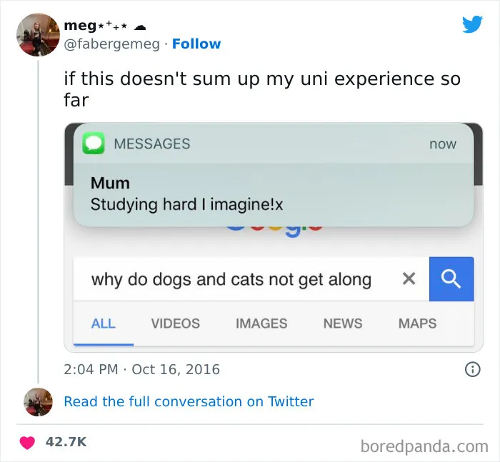 67 Funny Student Jokes That Pretty Much Sum Up Student Life