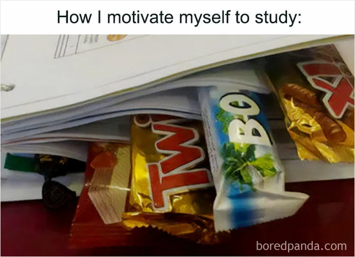 “Humor State University”: 30 Funny Memes About Life As A Student That Have People Laughing Through The Tears