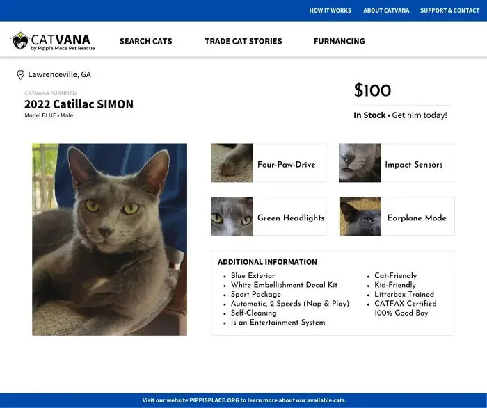 These 12 Shelter Cats Are Advertised As Cars For Sale, And The Result Is Hilarious