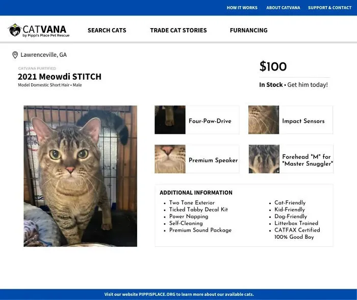These 12 Shelter Cats Are Advertised As Cars For Sale, And The Result Is Hilarious
