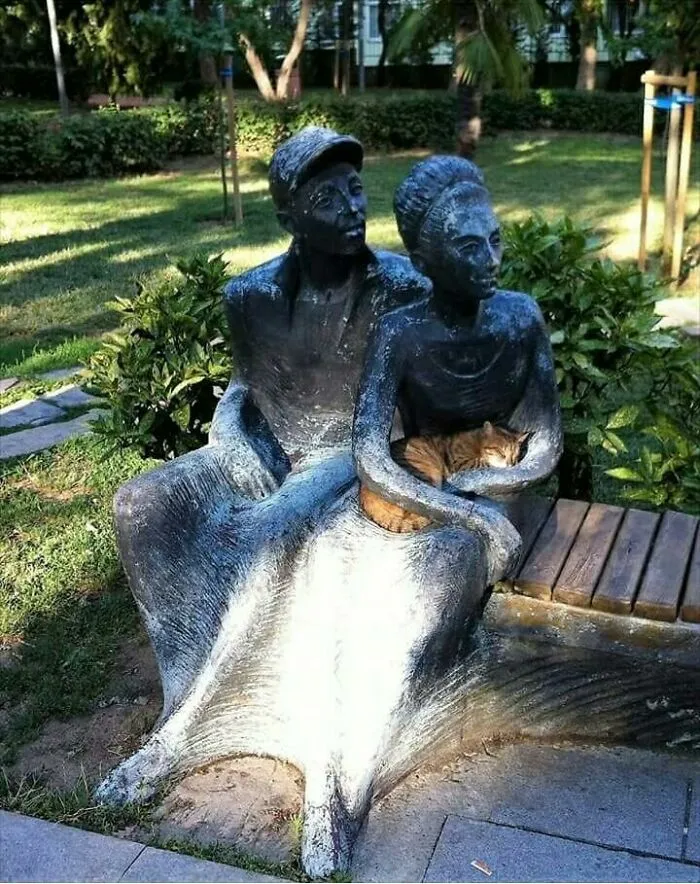 Este chico encontró el mejor sitio en el parque para descansar