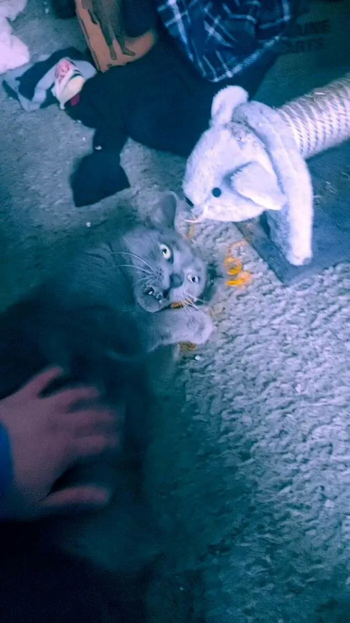 "No! It's My String! You Can't Have It!"