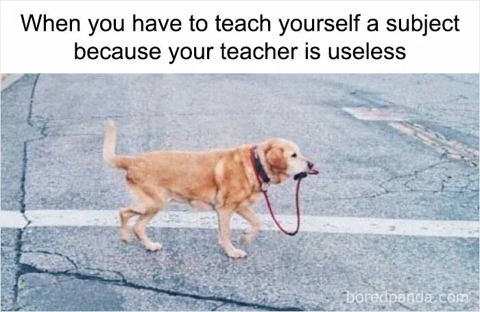 “Humor State University”: 30 Funny Memes About Life As A Student That Have People Laughing Through The Tears